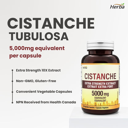 Cistanche Tubulosa Capsules – 120 Capsules | 5,000mg Equivalent | 10: 1 Extract | Made in Canada