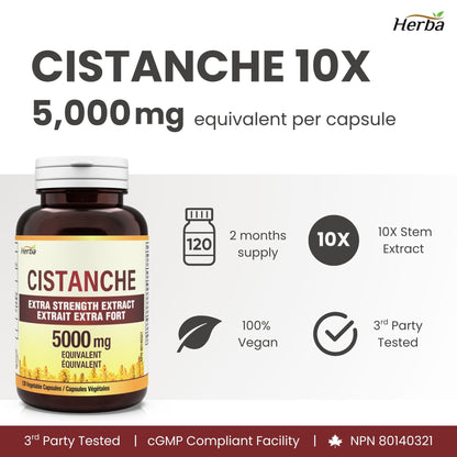 Cistanche Tubulosa Capsules – 120 Capsules | 5,000mg Equivalent | 10: 1 Extract | Made in Canada