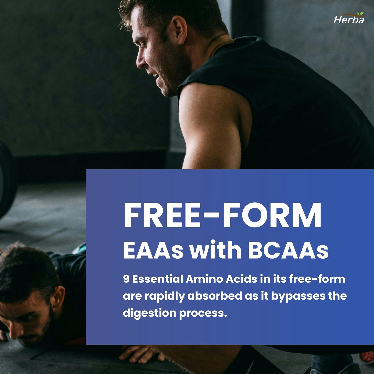 Essential Amino Acids Supplement – 180 Capsules | All 9 EAA Supplement in Free Form | Made in Canada