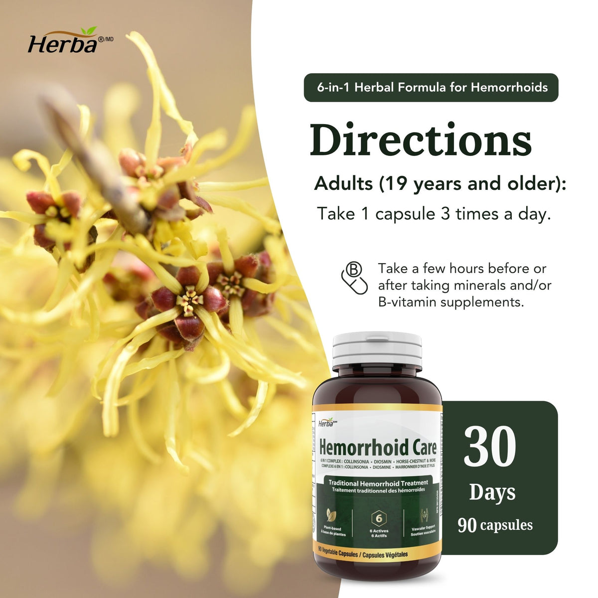 Hemorrhoid Care - 90 Capsules