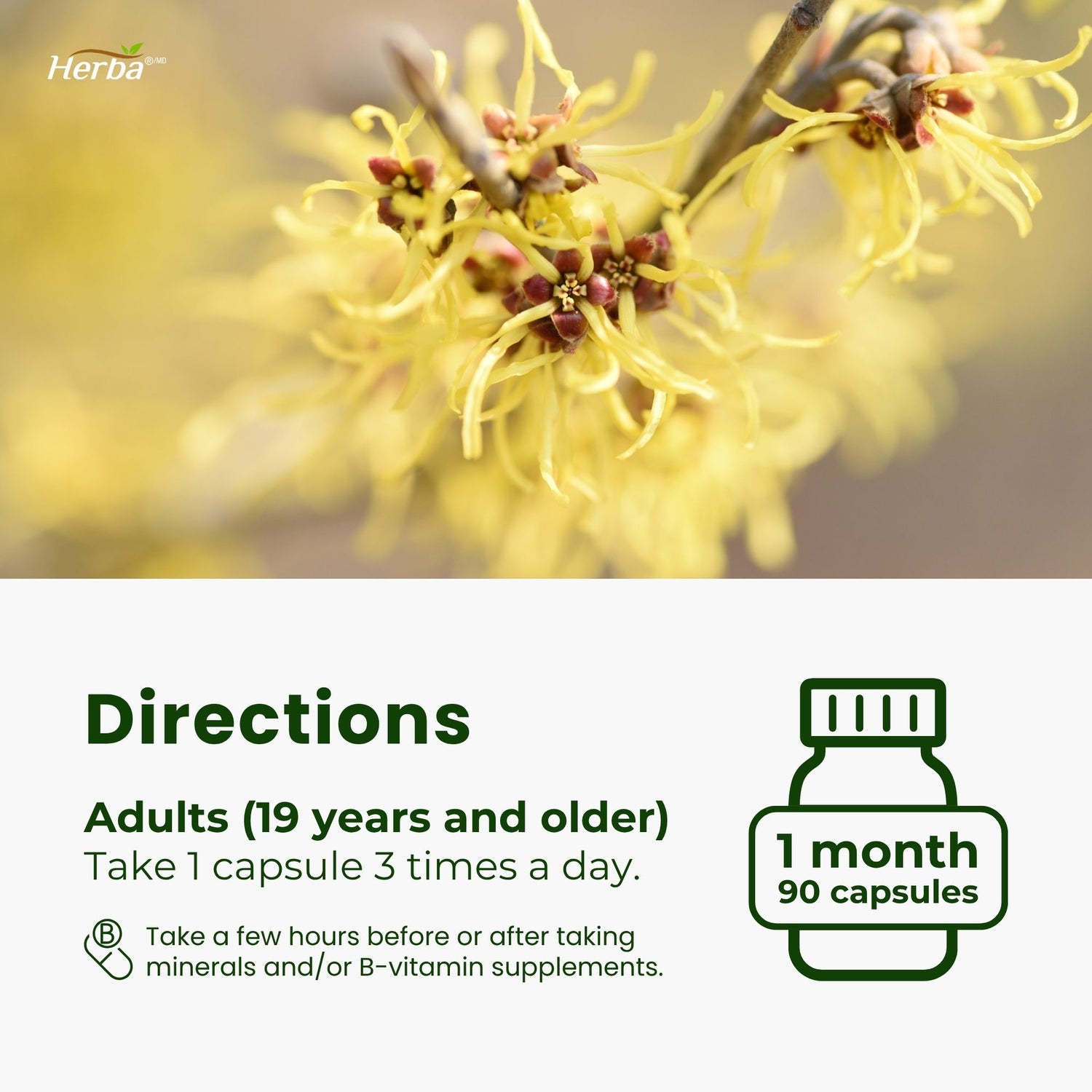 Soins des hémorroïdes - 90 capsules