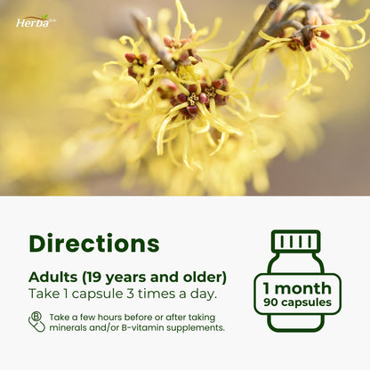 Soins des hémorroïdes - 90 capsules