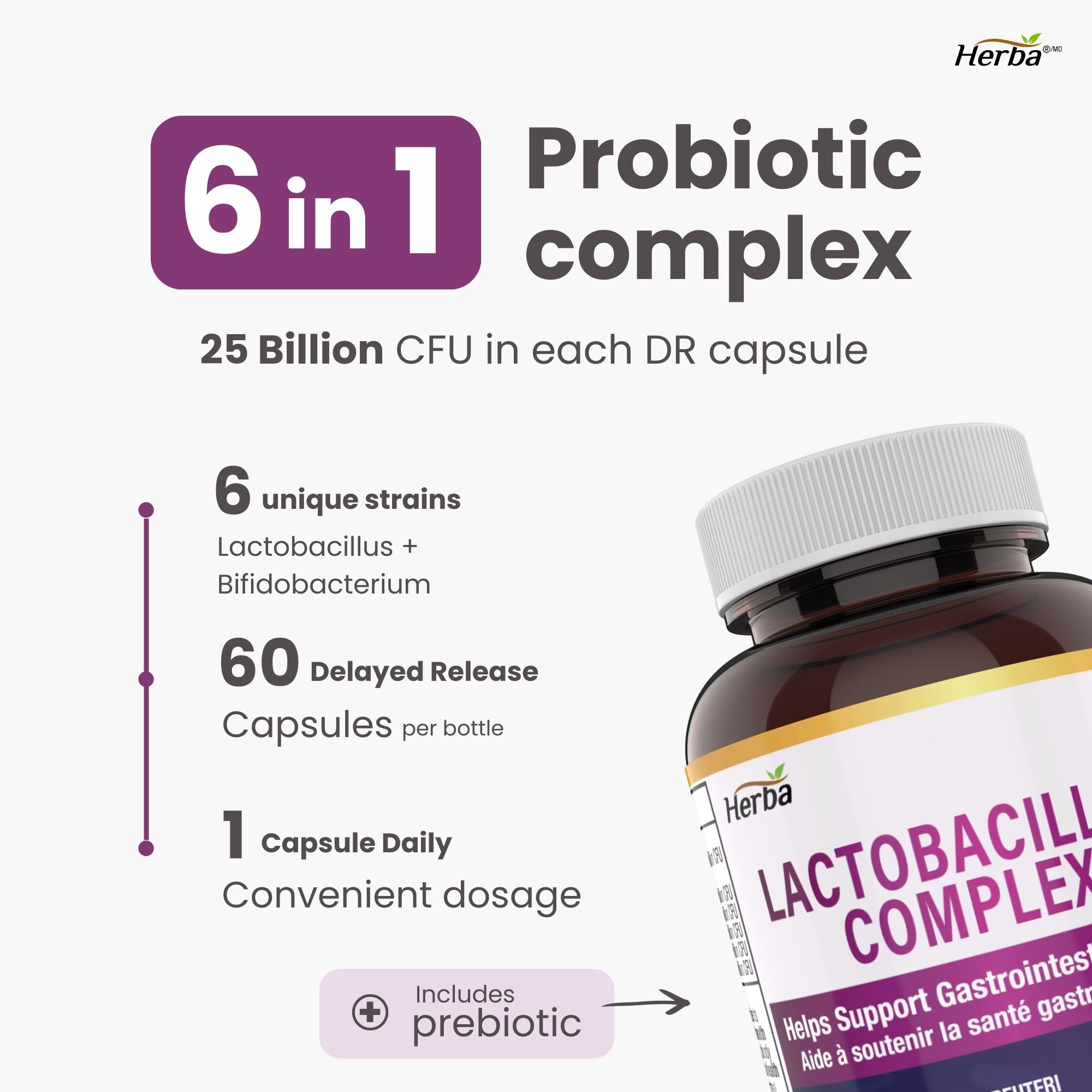 Lactobacillus Complex 25B CFU - 60 DR Capsules | 6 in 1 Lactobacillus and Bifidobacterium | Made in Canada