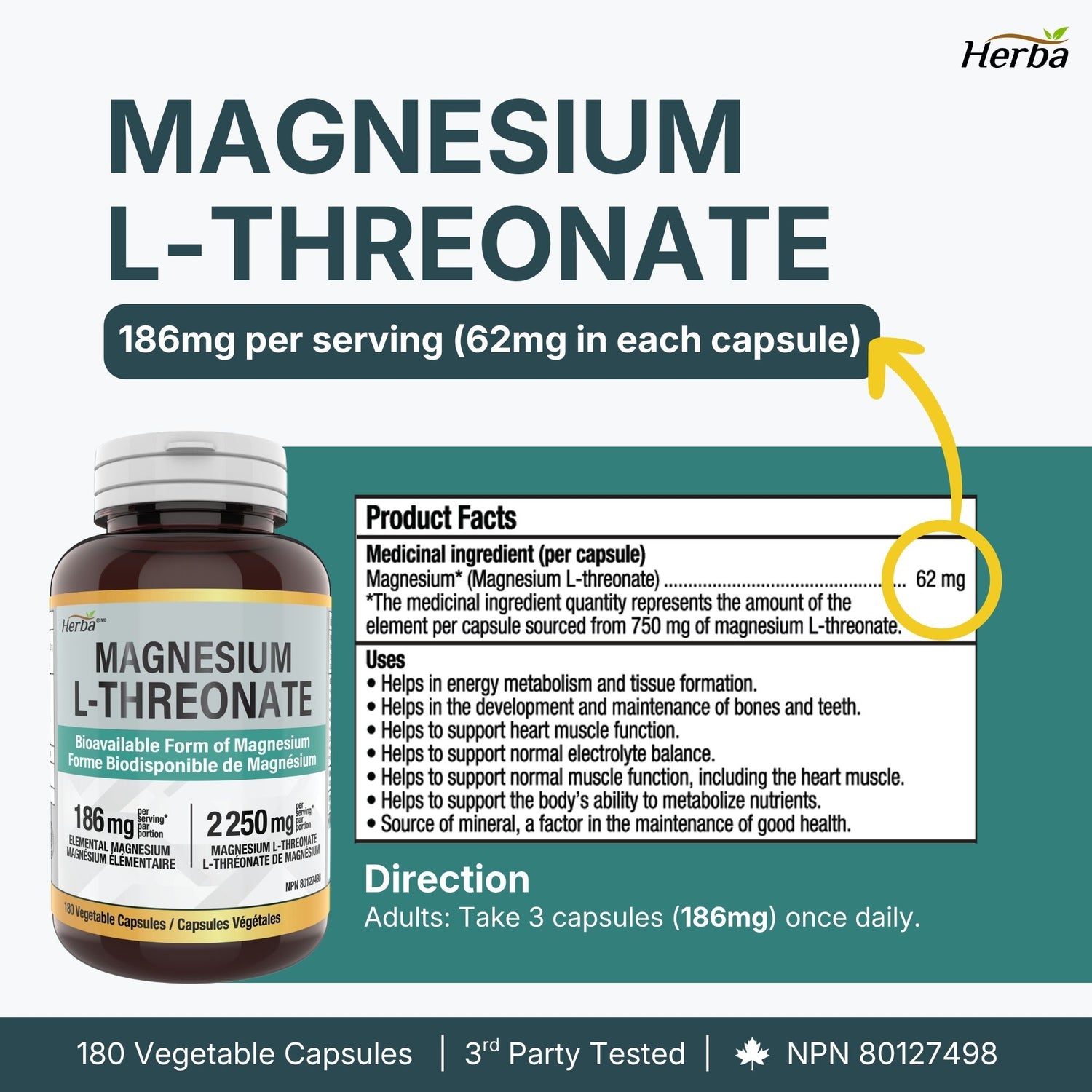 Magnesium L-Threonate Supplement – 186mg | Made in Canada | 180 Vegetable Capsules