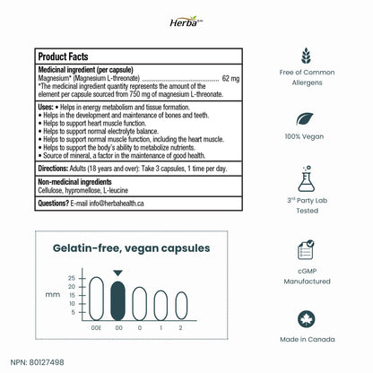 Magnesium L-Threonate Supplement – 186mg | Made in Canada | 180 Vegetable Capsules