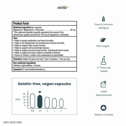 Magnesium L-Threonate Supplement – 186mg | Made in Canada | 90 Vegetable Capsules