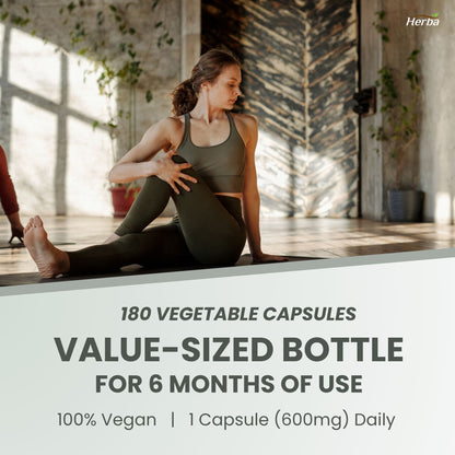 Complément NAC 600 mg - 180 capsules | N-Acétyl-L-Cystéine