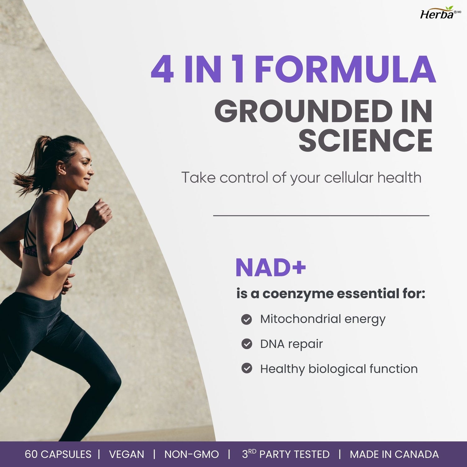 NAD+ Supplement 550mg – 60 Capsules | 4-in-1 NAD Plus Total with Nicotinamide Riboside (NR), β-NMN, Resveratrol &amp; Quercetin | Made in Canada