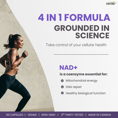 NAD+ Supplement 550mg – 60 Capsules | 4-in-1 NAD Plus Total with Nicotinamide Riboside (NR), β-NMN, Resveratrol &amp; Quercetin | Made in Canada