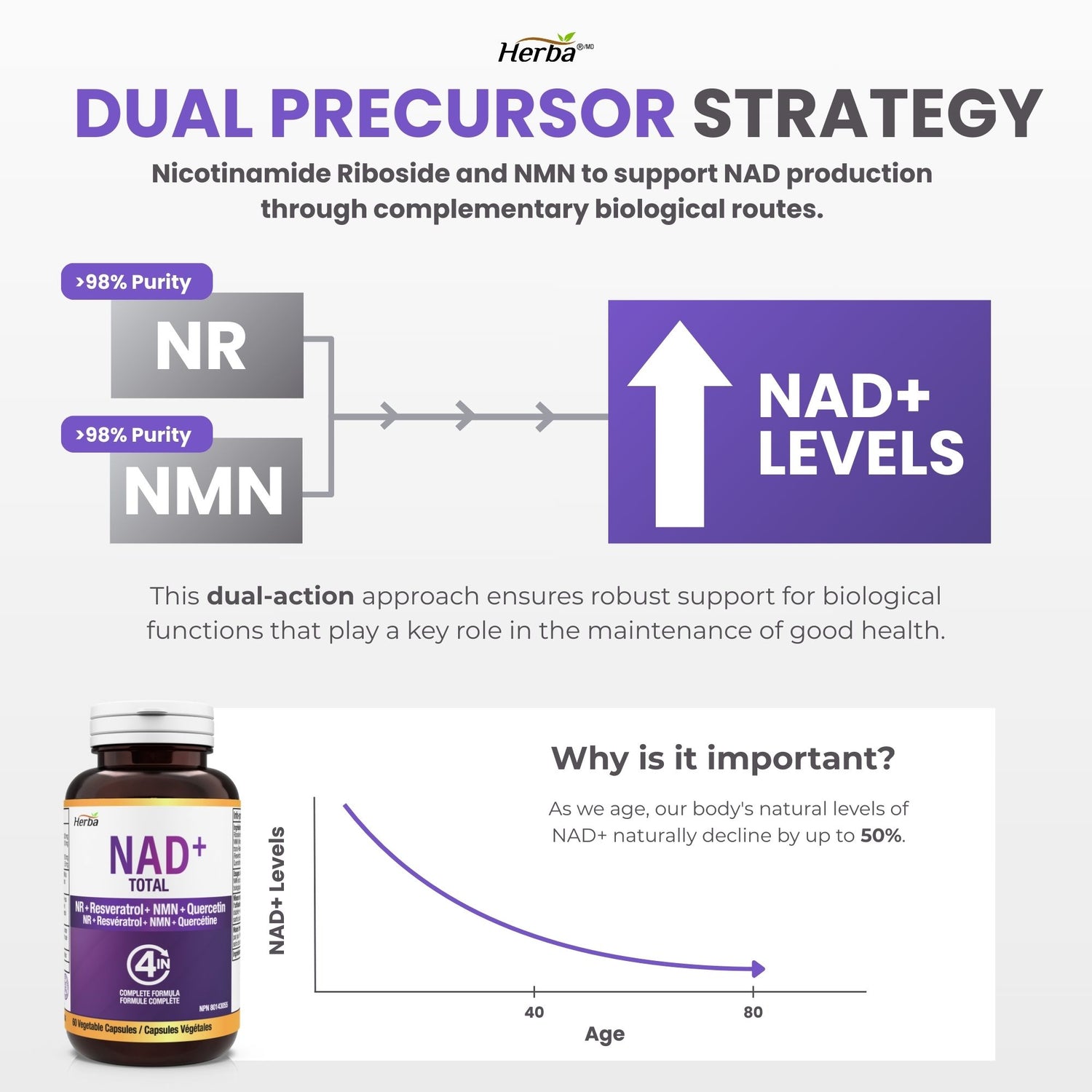 NAD+ Supplement 550mg – 60 Capsules | 4-in-1 NAD Plus Total with Nicotinamide Riboside (NR), β-NMN, Resveratrol &amp; Quercetin | Made in Canada
