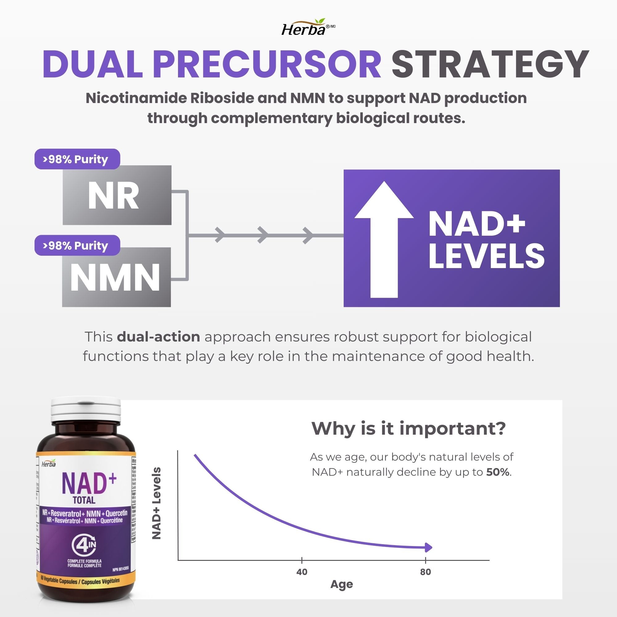 NAD+ Supplement 550mg – 60 Capsules | 4-in-1 NAD Plus Total with Nicotinamide Riboside (NR), β-NMN, Resveratrol &amp; Quercetin | Made in Canada