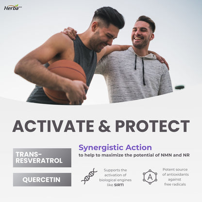 NAD+ Supplement 550mg – 60 Capsules | 4-in-1 NAD Plus Total with Nicotinamide Riboside (NR), β-NMN, Resveratrol &amp; Quercetin | Made in Canada