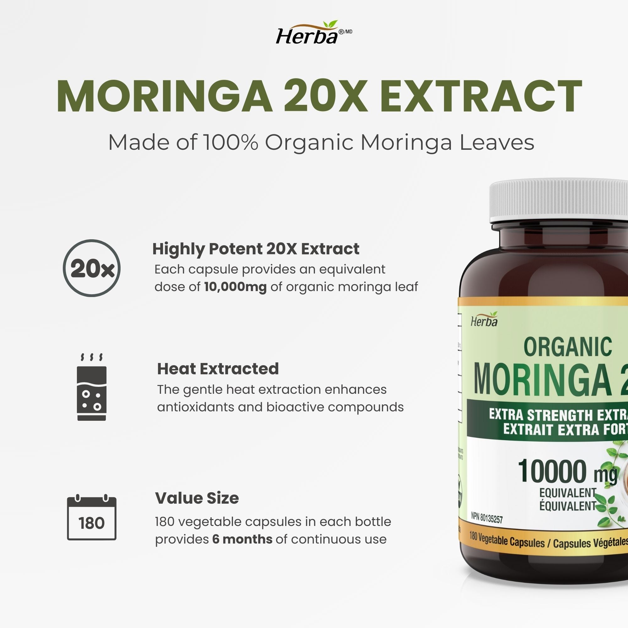 Organic Moringa Extract Capsules 10,000mg - 180 Capsules | 20:1 Extract | Made in Canada