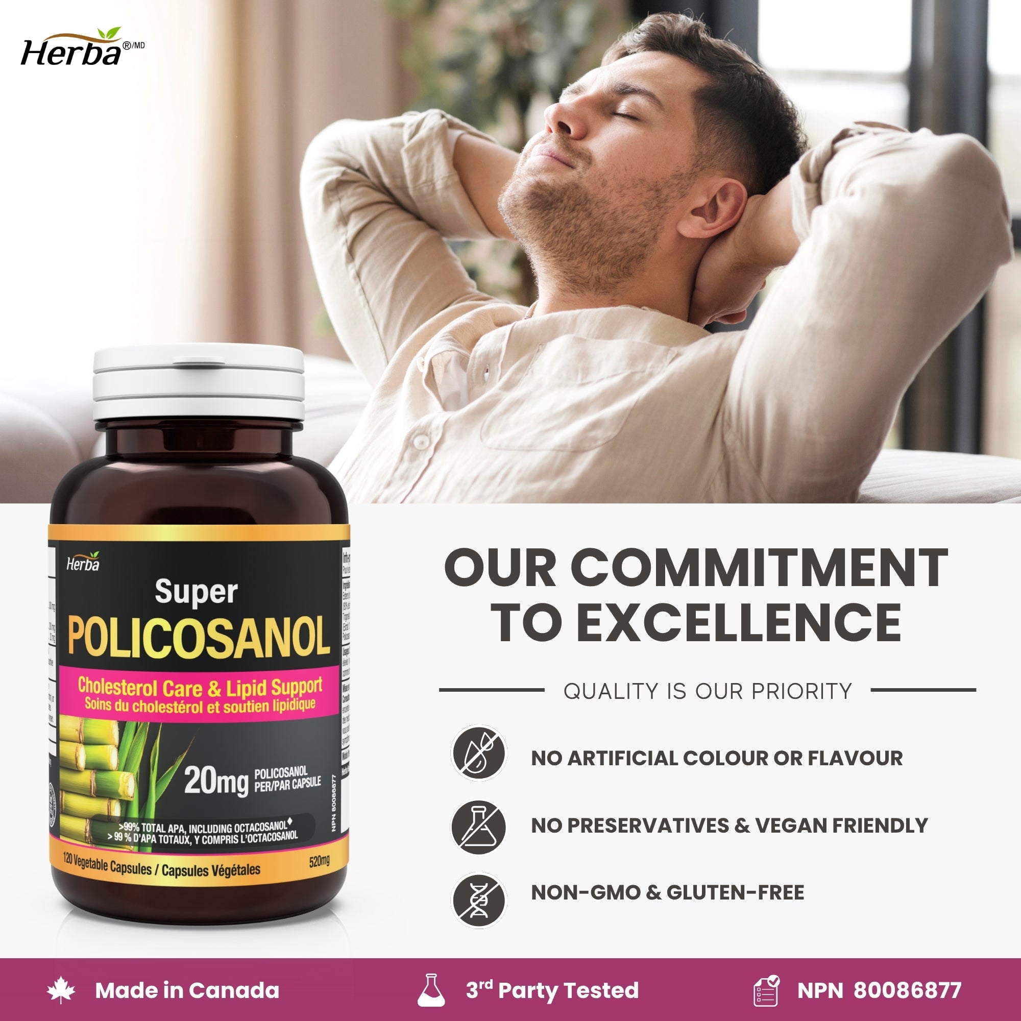 Policosanol 20 mg avec fenugrec et esters de stérols végétaux - 120 gélules végétales