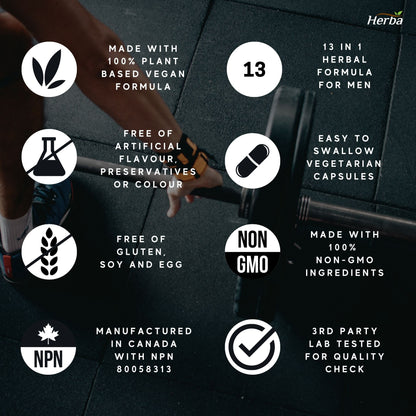 Power Max - 60 Capsules | Tongkat Ali, Maca, Tribulus, Panax Ginseng and 9 Other Ingredients