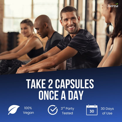Power Max - 60 Capsules | Tongkat Ali, Maca, Tribulus, Panax Ginseng and 9 Other Ingredients
