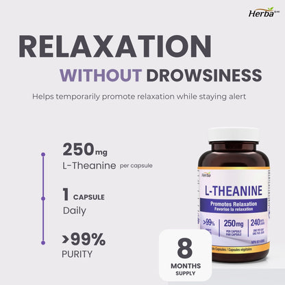 Herba L-Theanine Supplement 250mg – 240 Capsules | Promotes Relaxation Without Drowsiness | Anxiety Relief Support | 8 Month Supply | Made in Canada