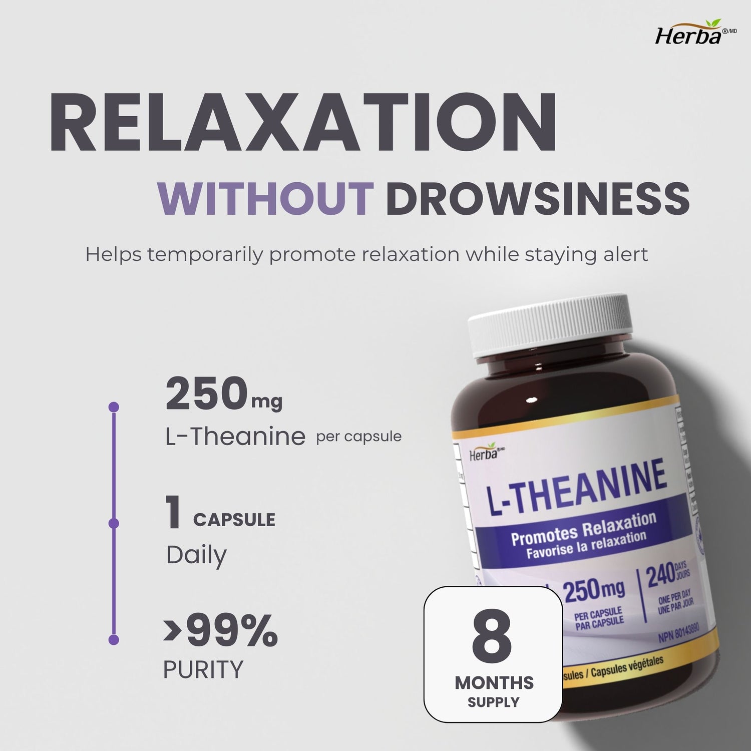 L-Theanine Supplement 250mg – 240 Capsules | Promotes Relaxation Without Drowsiness | 8 Month Supply | Made in Canada