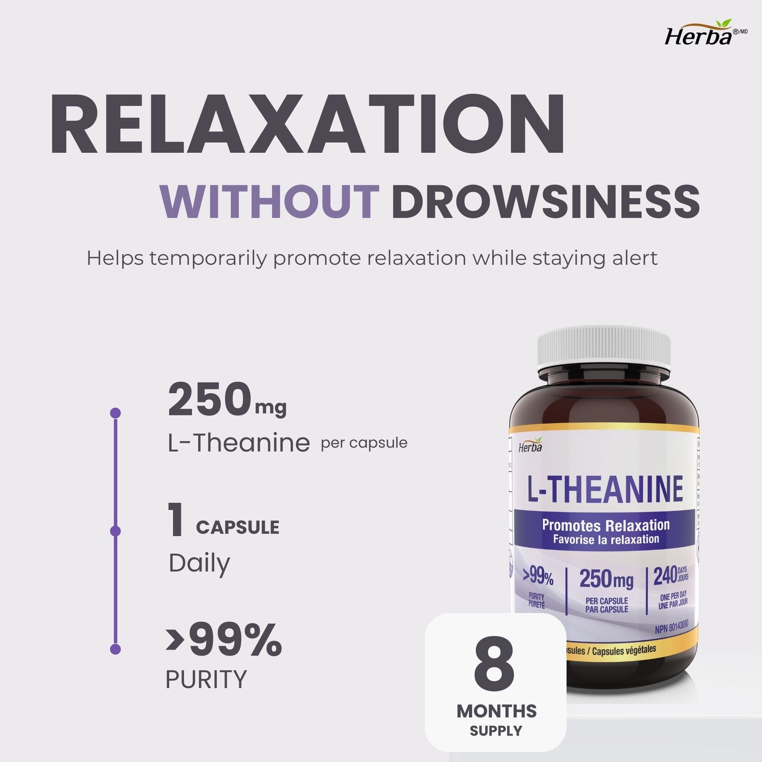 Supplément de L-Théanine 250mg – 240 Capsules | Favorise la relaxation sans somnolence | Approvisionnement de 8 mois | Fabriqué au Canada