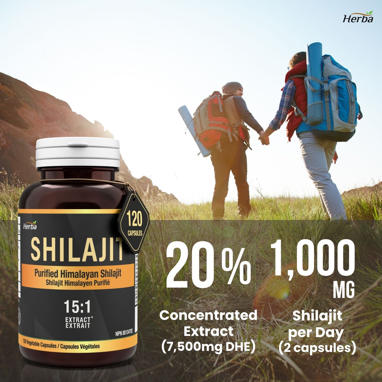 Himalayan Shilajit for Women &amp; Men – 120 Capsules | 1000mg Per Serving (500mg Each) | 15:1 Extract | Fulvic Acid Supplement | Made in Canada