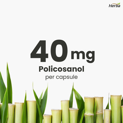 Policosanol 40mg with Fenugreek and Plant Sterol Esters - 120 Vegetable Capsules