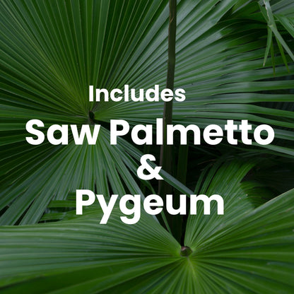 Prostate Max - Prostate Supplement for Men – 120 Capsules | 9 Natural Ingredients