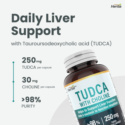 TUDCA Supplement for Liver – 60 Capsules | 250mg TUDCA + Choline | Made in Canada