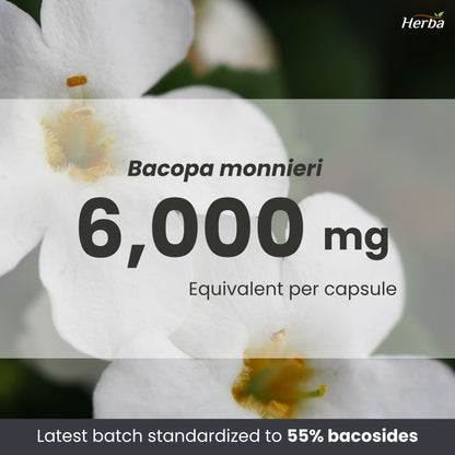 Bacopa Monnieri Supplement – 120 Capsules | 300mg, 20:1 Extract - 6,000mg Equivalent | Made in Canada