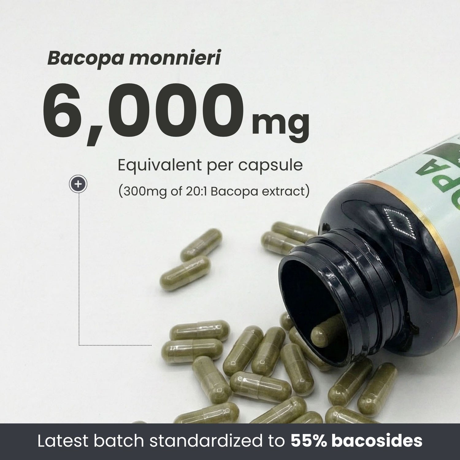 Bacopa Monnieri Supplement – 120 Capsules | 300mg, 20:1 Extract - 6,000mg Equivalent | Made in Canada