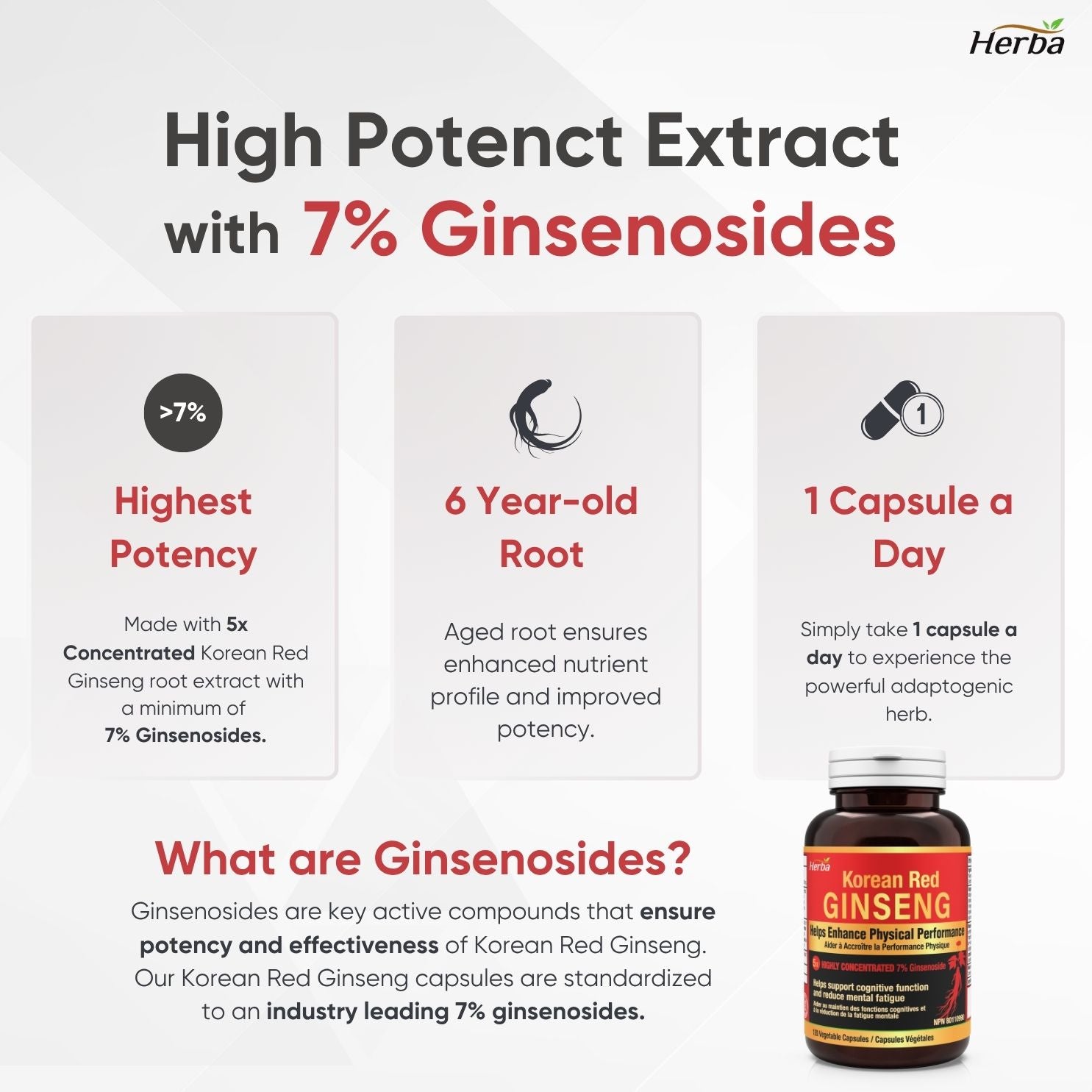 Korean Red Ginseng Extract Capsules – 5:1, 2500mg Equivalent | 120 Vegetable Capsules