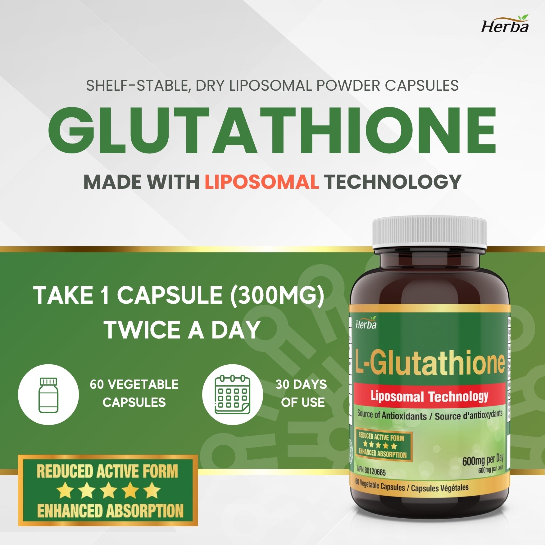 Liposomal Glutathione Supplement - 600mg Per Day | 60 Vegetable Capsules