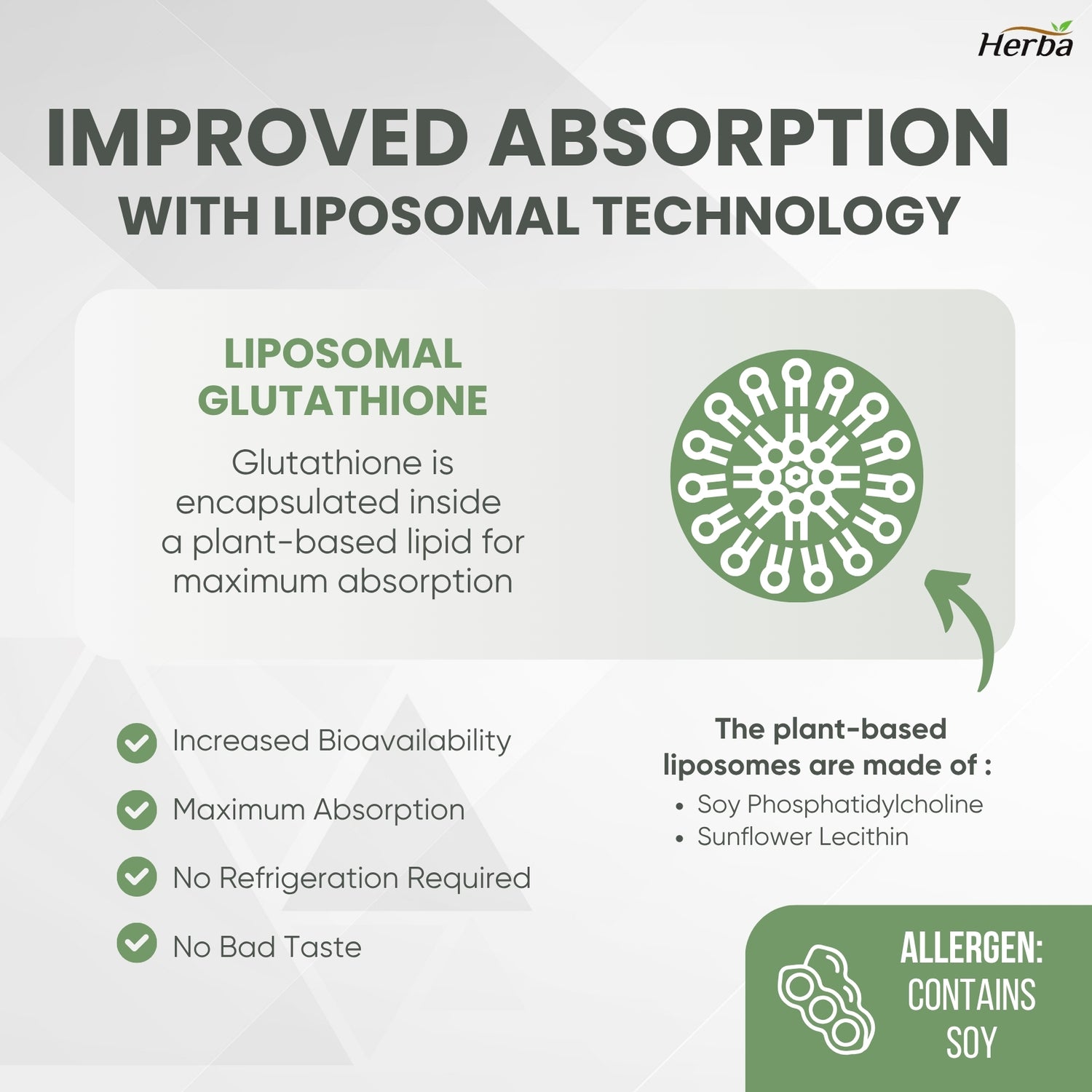 Liposomal Glutathione Supplement - 600mg Per Day | 60 Vegetable Capsules