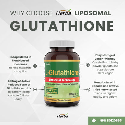 Liposomal Glutathione Supplement - 600mg Per Day | 60 Vegetable Capsules