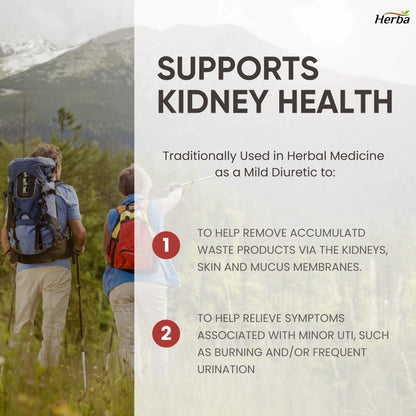 Kidney Cleanse Supplement – 120 Capsules | 8 Natural Ingredients to Detox and Support Kidney and Bladder Health