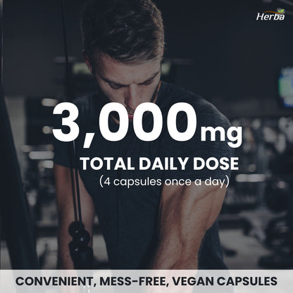 Supplément L-Citrulline 750 mg – 180 Gélules Végétales | Fabriqué au Canada