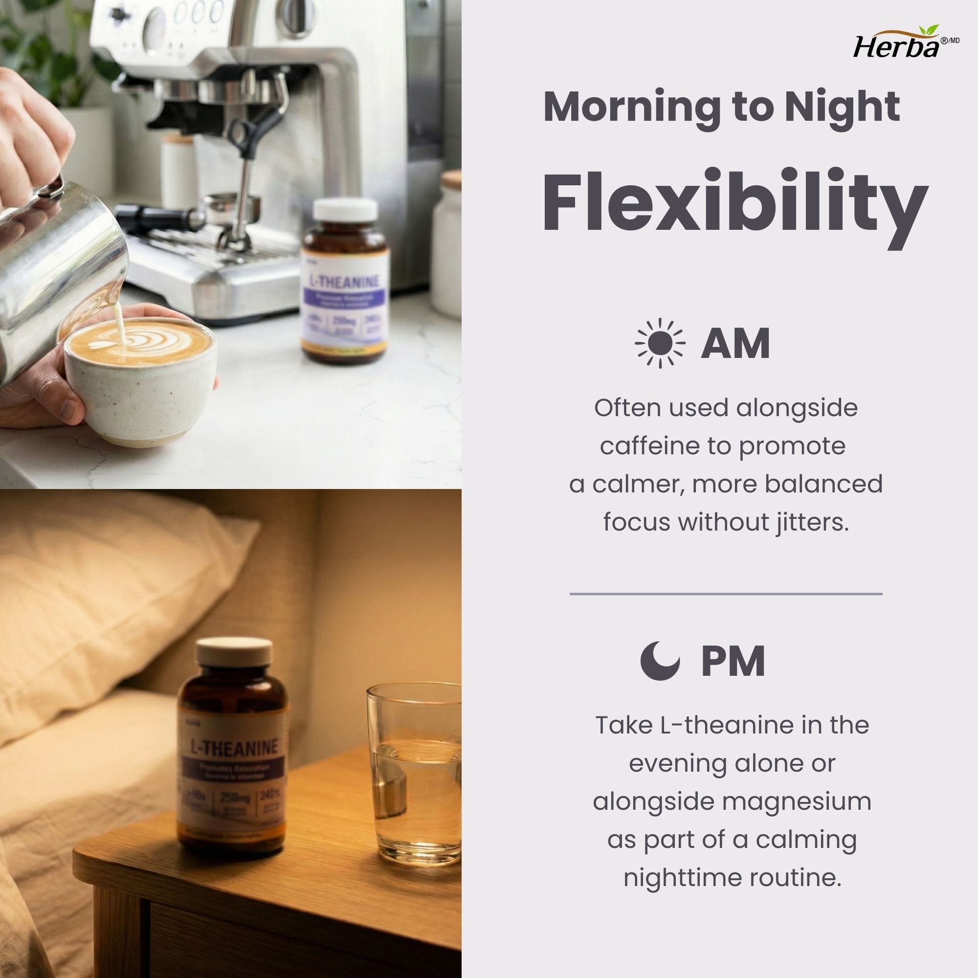 Herba L-Theanine Supplement 250mg – 240 Capsules | Promotes Relaxation Without Drowsiness | Anxiety Relief Support | 8 Month Supply | Made in Canada