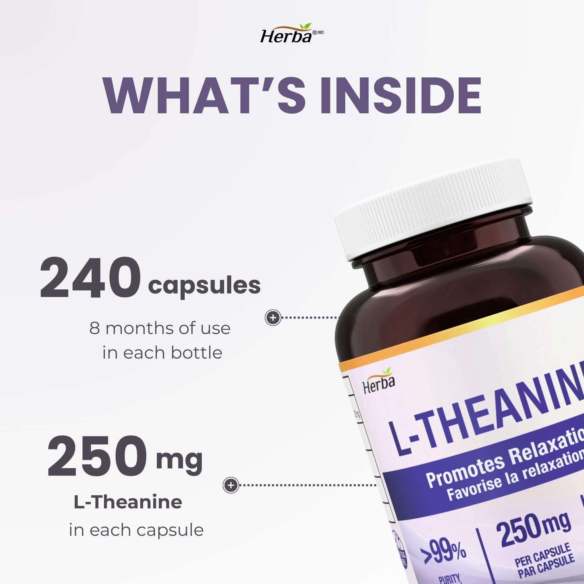 Herba L-Theanine Supplement 250mg – 240 Capsules | Promotes Relaxation Without Drowsiness | Anxiety Relief Support | 8 Month Supply | Made in Canada