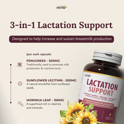 Lactation Support – 240 Capsules | 3-in-1 | Sunflower Lecithin, Moringa &amp; Fenugreek Capsules | Made in Canada