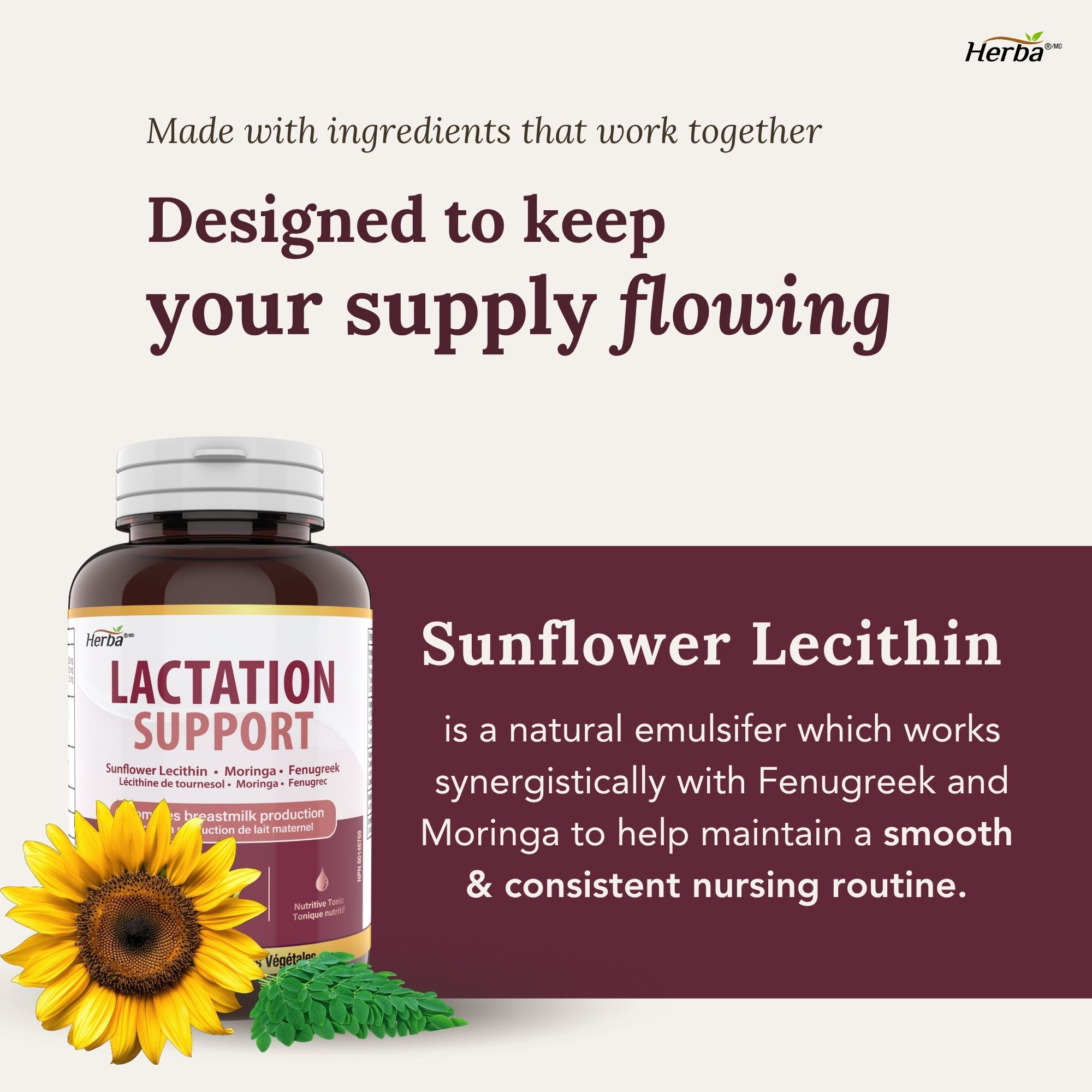 Lactation Support – 240 Capsules | 3-in-1 | Sunflower Lecithin, Moringa &amp; Fenugreek Capsules | Made in Canada