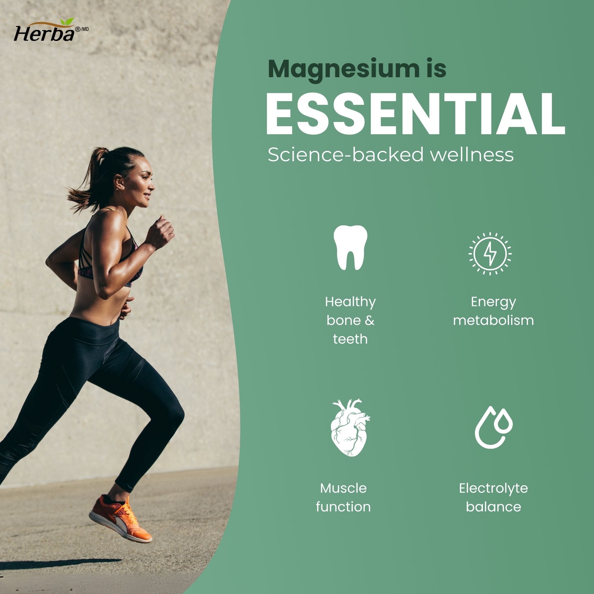 Poudre de Malate de Magnésium 300g – 120 Portions | Approvisionnement de 4 Mois | 100% Pur Malate de Magnésium Naturel | Fabriqué au Canada