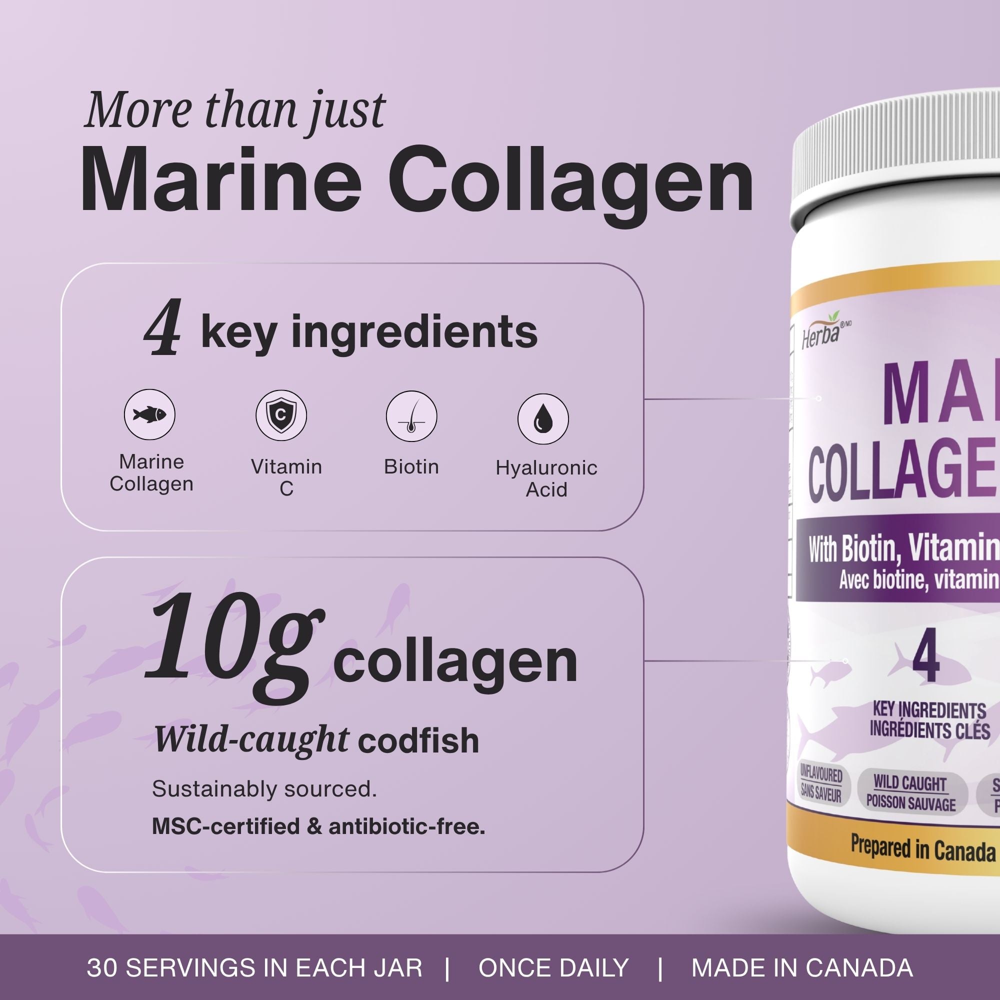 Marine Collagen Powder with Hyaluronic Acid, Vitamin C, and Biotin – 305g | Made in Canada