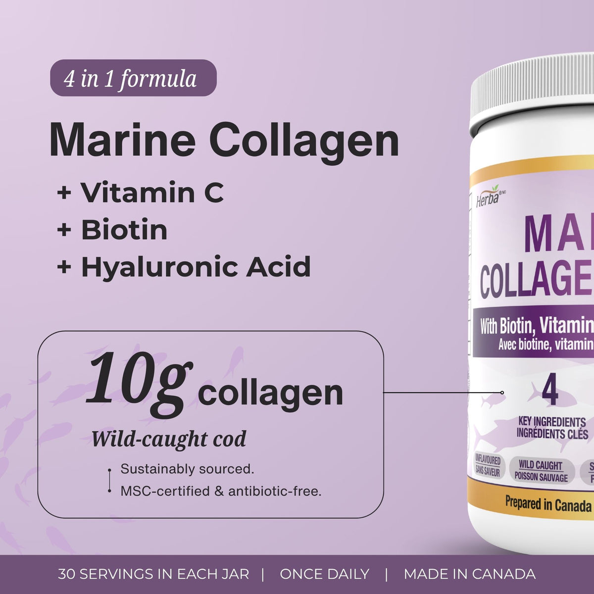 Marine Collagen Powder with Hyaluronic Acid, Vitamin C, and Biotin – 305g | Made in Canada