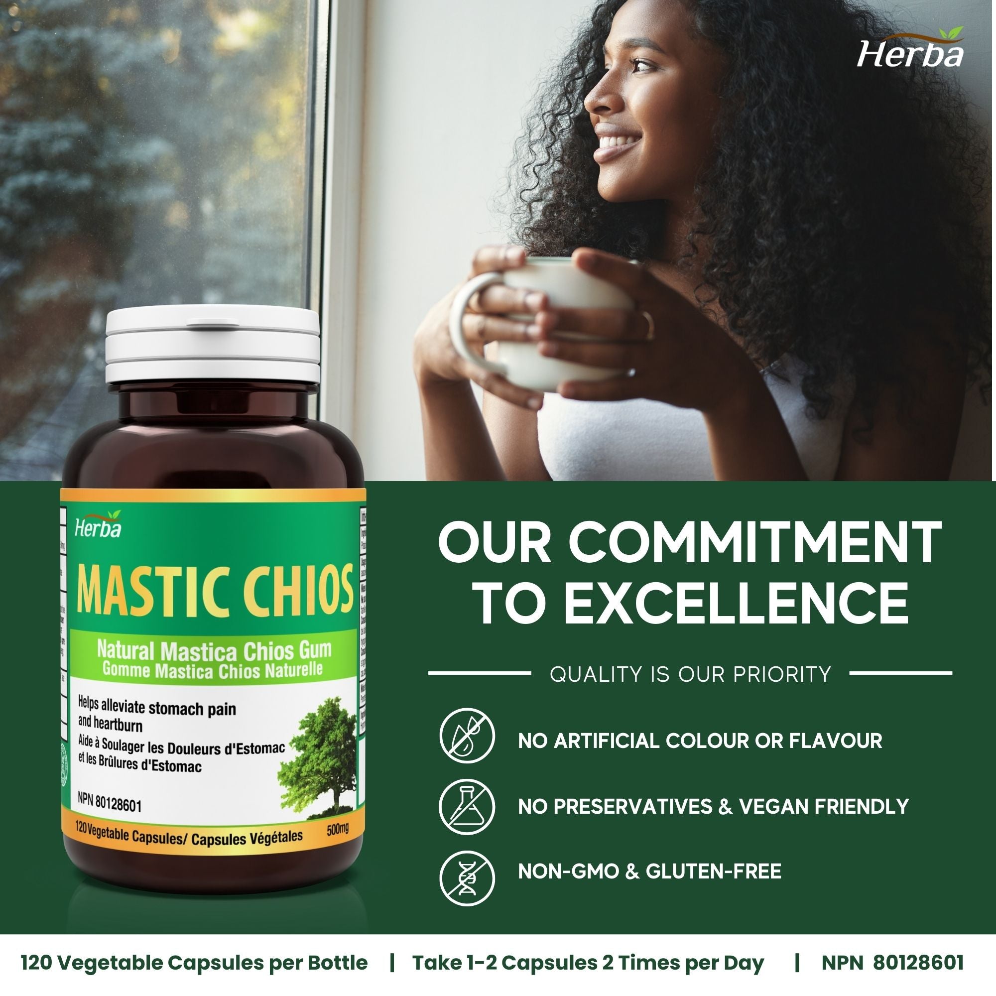 Gomme de mastic 500 mg - 120 capsules | Fabriqué au Canada