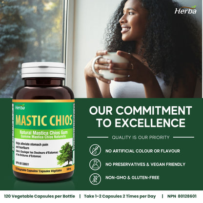 Gomme de mastic 500 mg - 120 capsules | Fabriqué au Canada