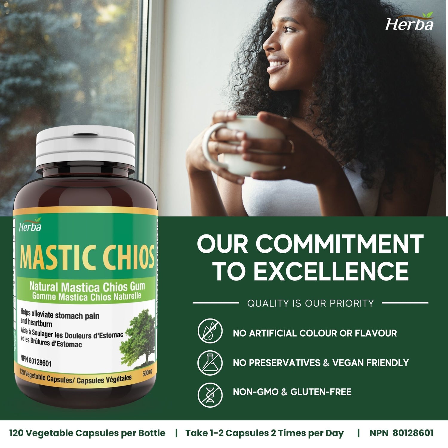Gomme de mastic 500 mg - 120 capsules | Fabriqué au Canada