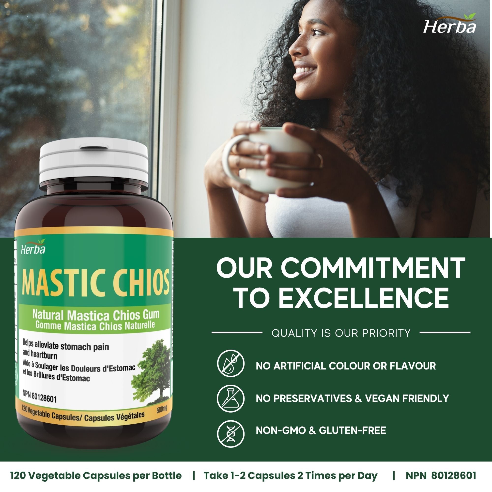 Gomme de mastic 500 mg - 120 capsules | Fabriqué au Canada