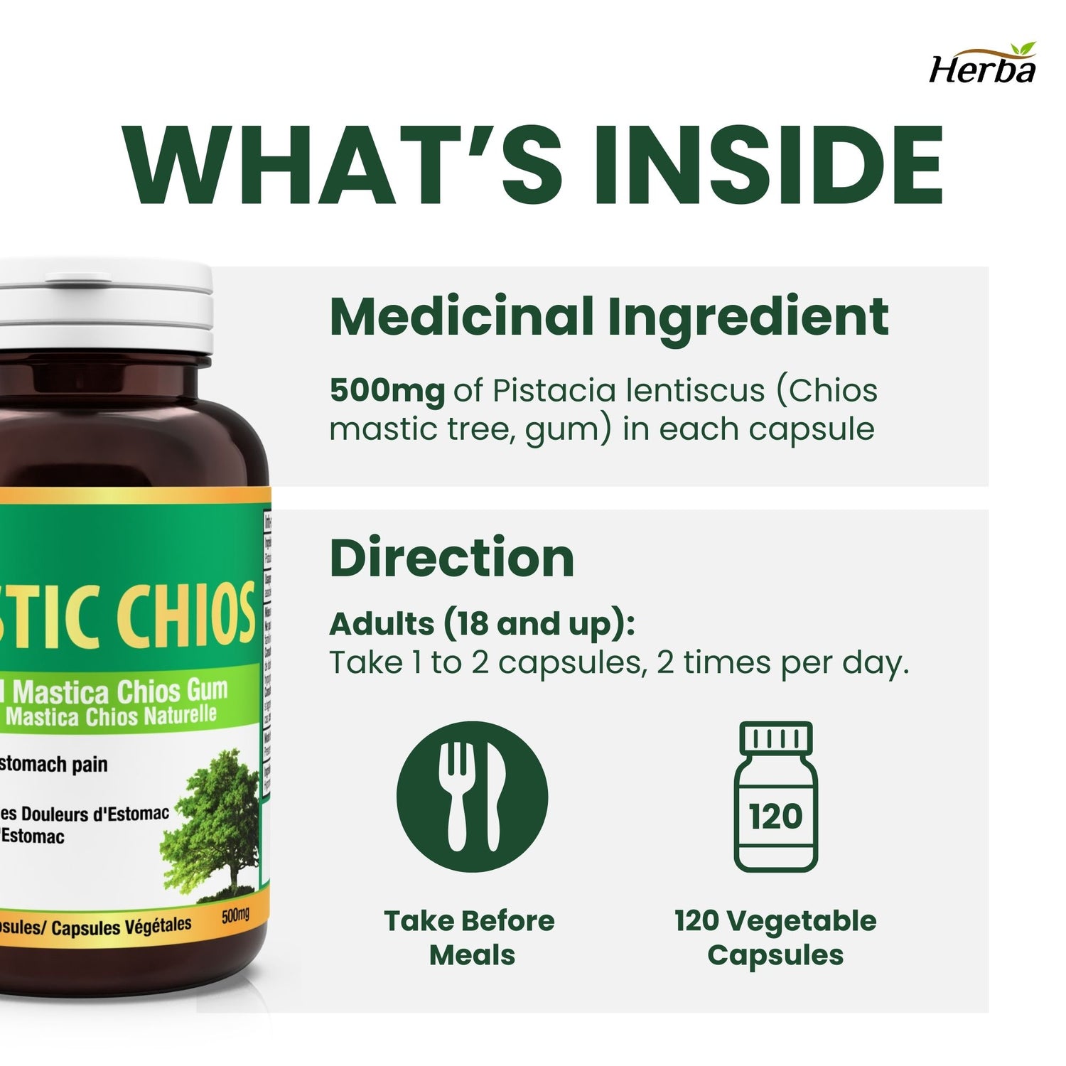 Gomme de mastic 500 mg - 120 capsules | Fabriqué au Canada