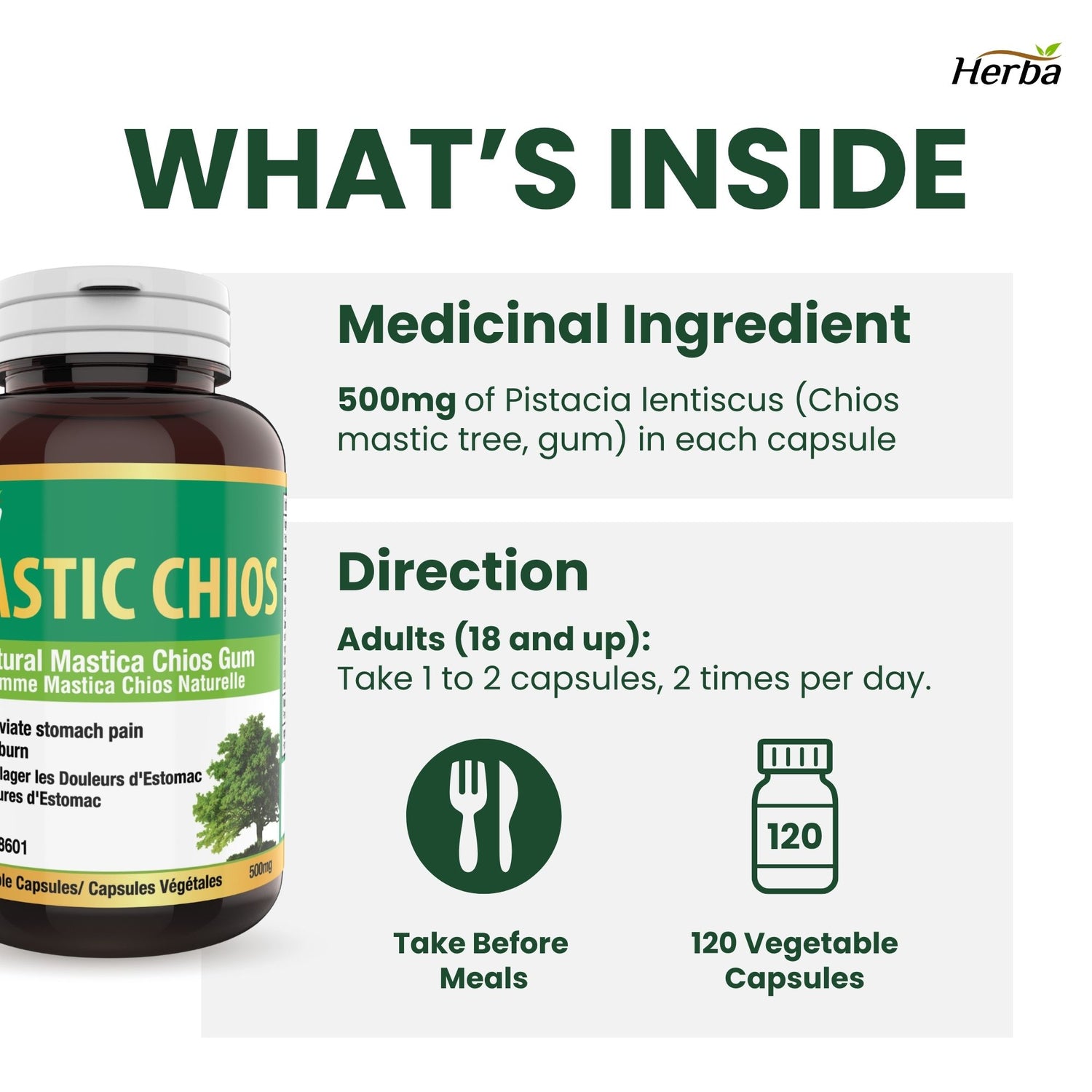 Gomme de mastic 500 mg - 120 capsules | Fabriqué au Canada