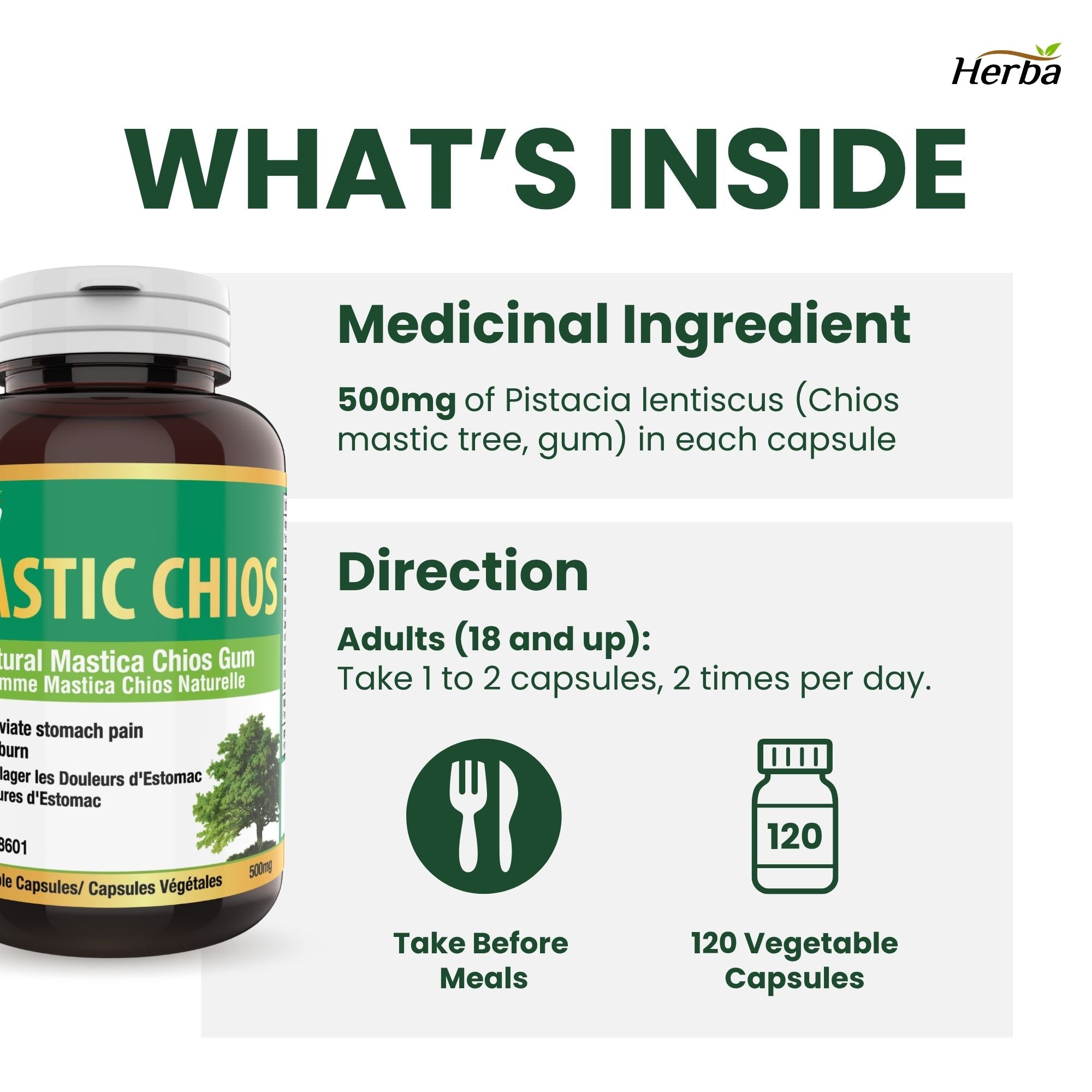 Gomme de mastic 500 mg - 120 capsules | Fabriqué au Canada