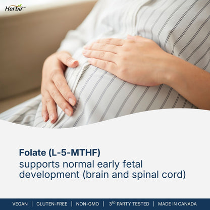 L-Methylfolate 1000mcg - 180 Capsules | Vitamin B9 5-MTHF Folate Supplement | Made in Canada